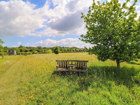 Cottage | Property grounds