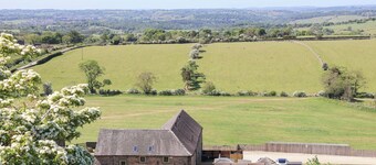 팔러 반