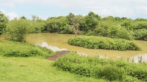 Un paisaje natural con un río, vegetación densa y una pequeña construcción de madera.