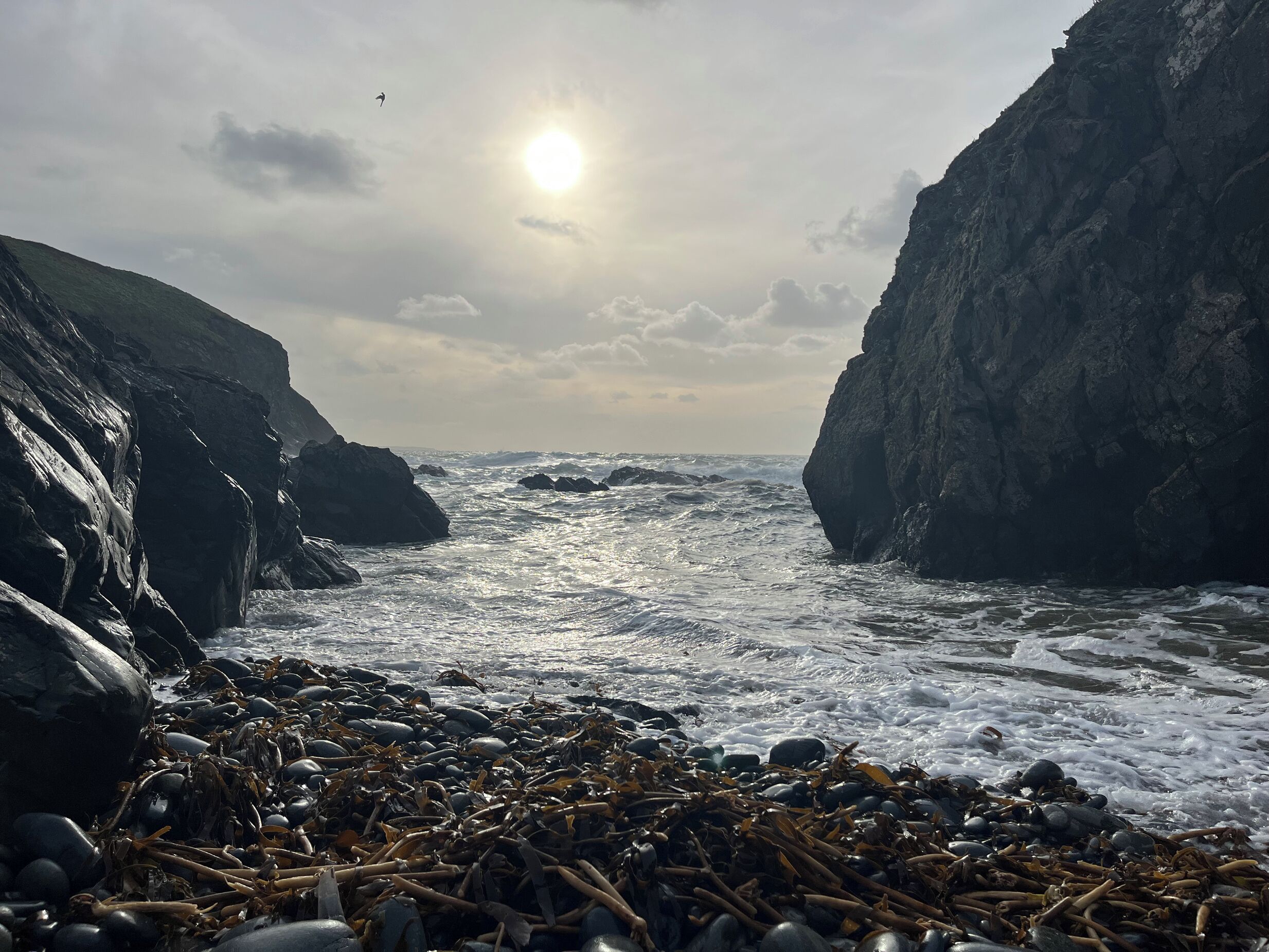 Costa rochosa com ondas quebrando contra grandes penhascos, sol parcialmente escondido por nuvens e uma praia coberta de algas.