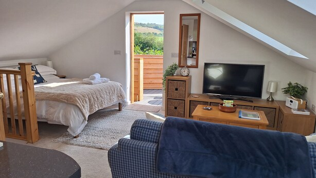 Ein gemütliches Schlafzimmer im Loft-Stil mit Bett, Fernseher und Blick ins Freie.