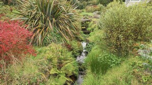 A garden with a variety of plants, a small stream, and a house in the background. - Lakeview Lodge (Foxford)