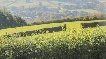A rural landscape with rolling hills, a distant tower, and a small building in the valley.