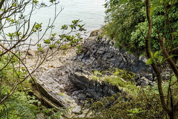 Une côte rocheuse bordée d’une végétation luxuriante et donnant sur une étendue d’eau calme.