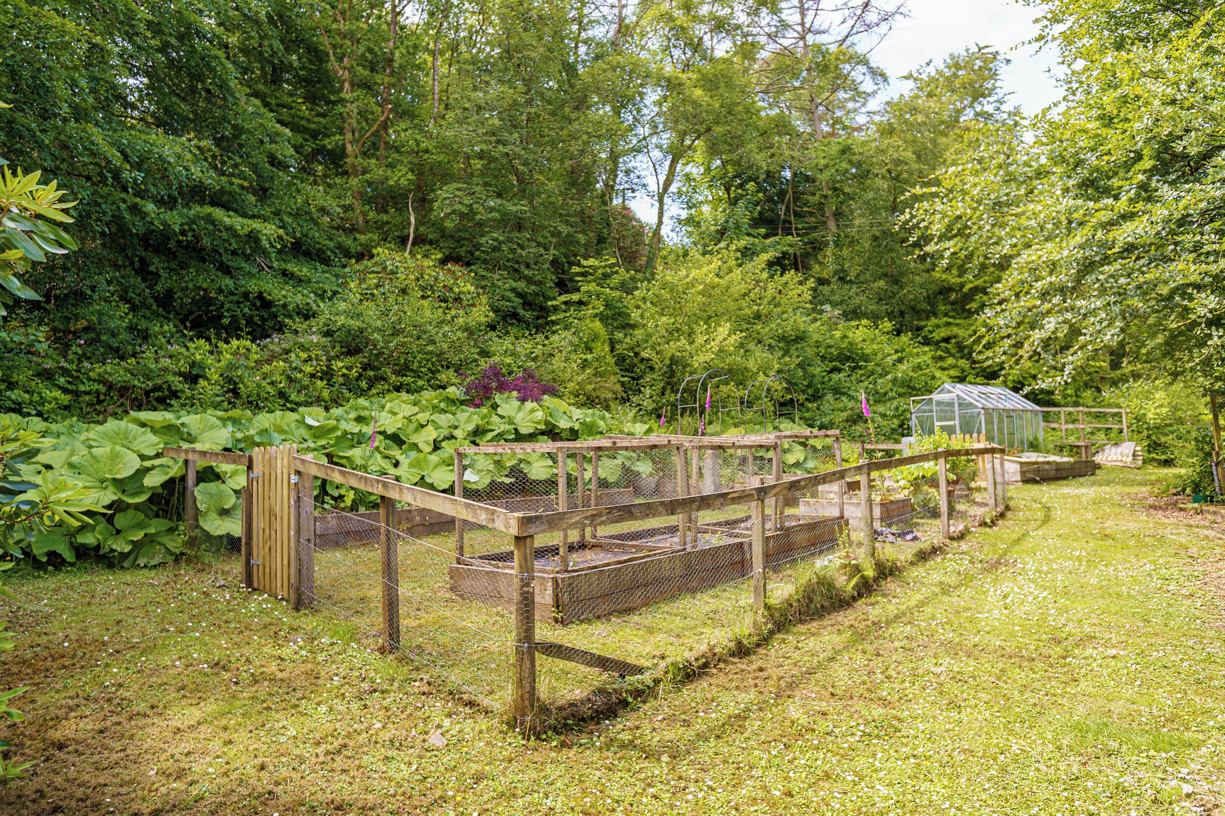 Een tuin met een houten omheining, een kas en weelderige begroeiing.
