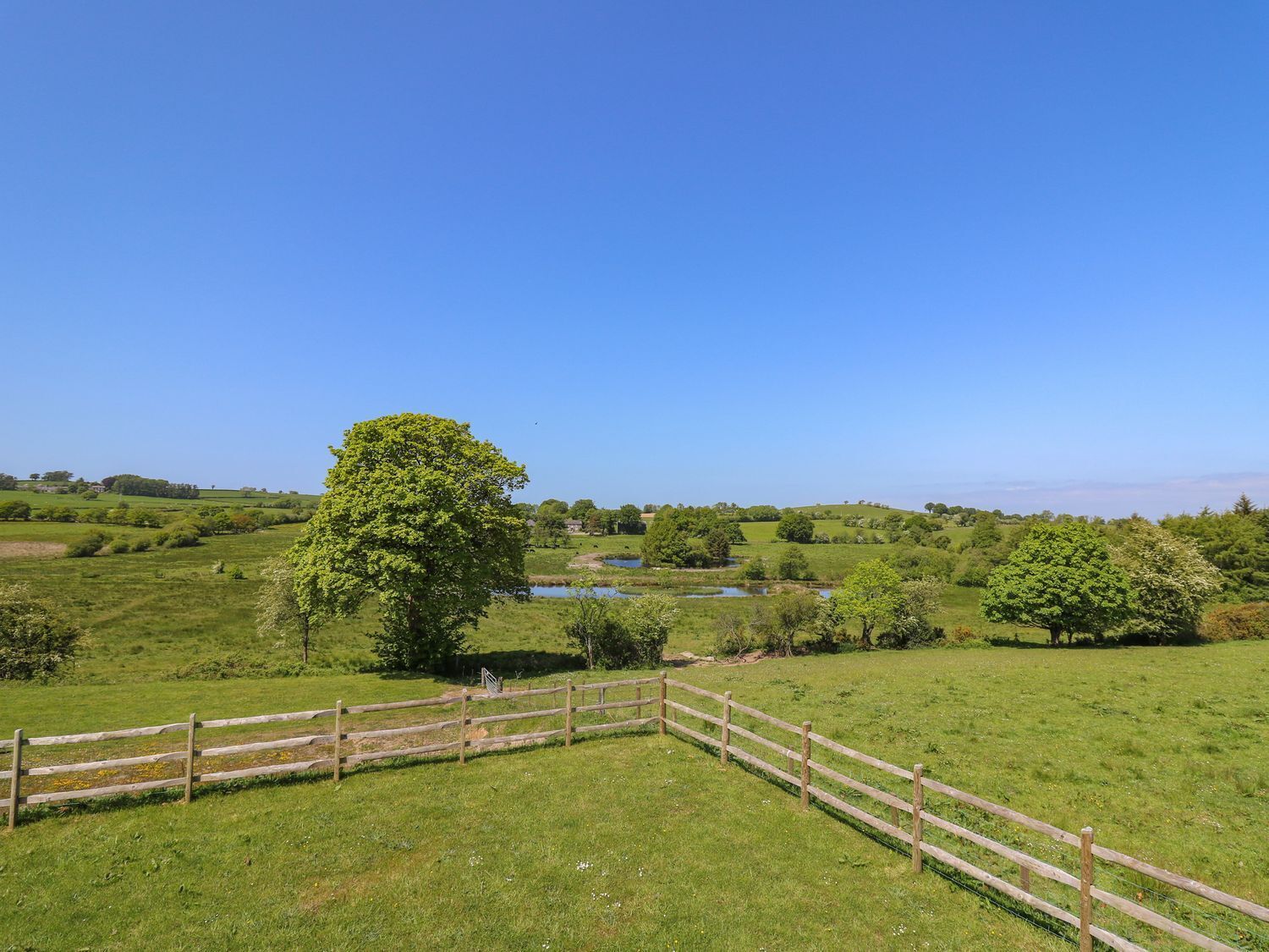 A rural landscape with a wooden fence, a large tree, and a small pond.