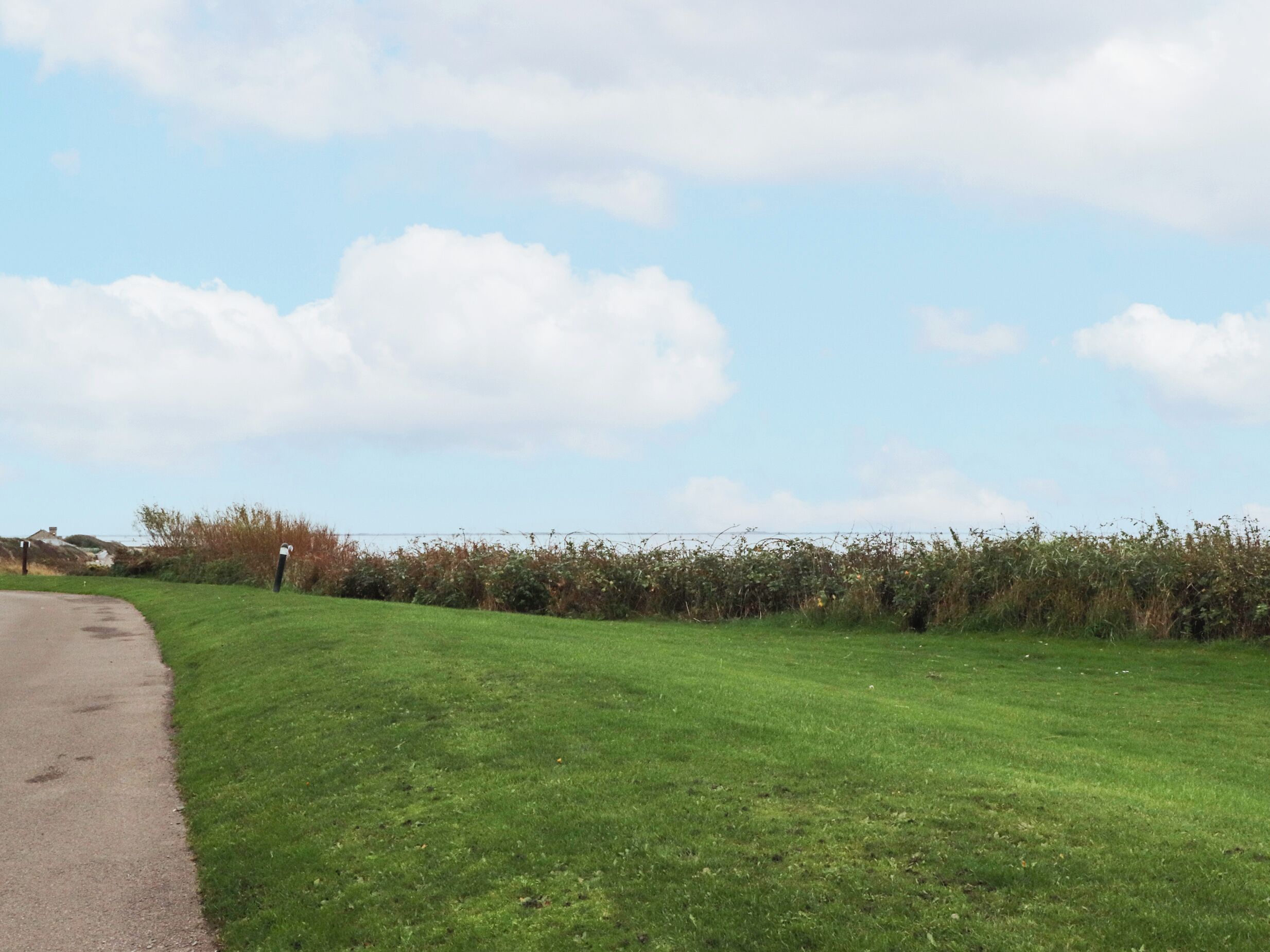 Een landweg met een grasveld en een haag.