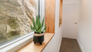 A hallway with a potted aloe vera plant on a wooden ledge by a window, a door, and a wall-mounted mirror. - Ty Chwarel (Bangor)