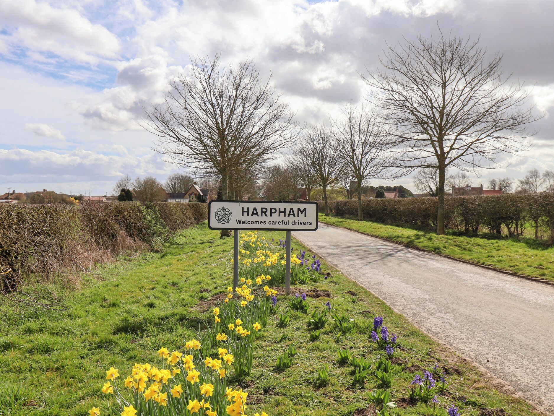 Une route de campagne avec un panneau indiquant : « Harpam souhaite la bienvenue aux conducteurs prudents », et des jonquilles au premier plan.