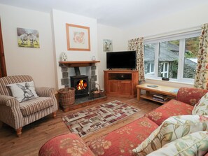 DVD player - Tulip (Kendal)