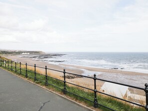 On the beach - Kittiwake (Scarborough)
