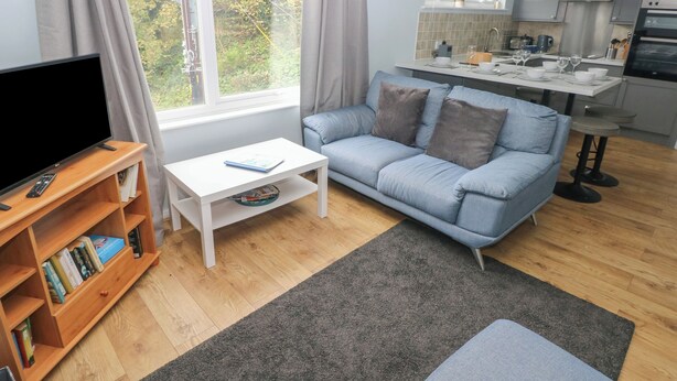 A modern living room with a sofa, a coffee table, a TV, and a bookshelf. - Kittiwake, Apartment 22 (Haverfordwest)