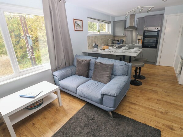 Fireplace - Kittiwake, Apartment 22 (Haverfordwest)