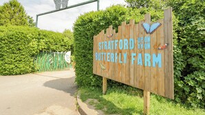 Ein Holzschild für den Stratford Butterfly Farm mit einem Schmetterlingsmotiv.
