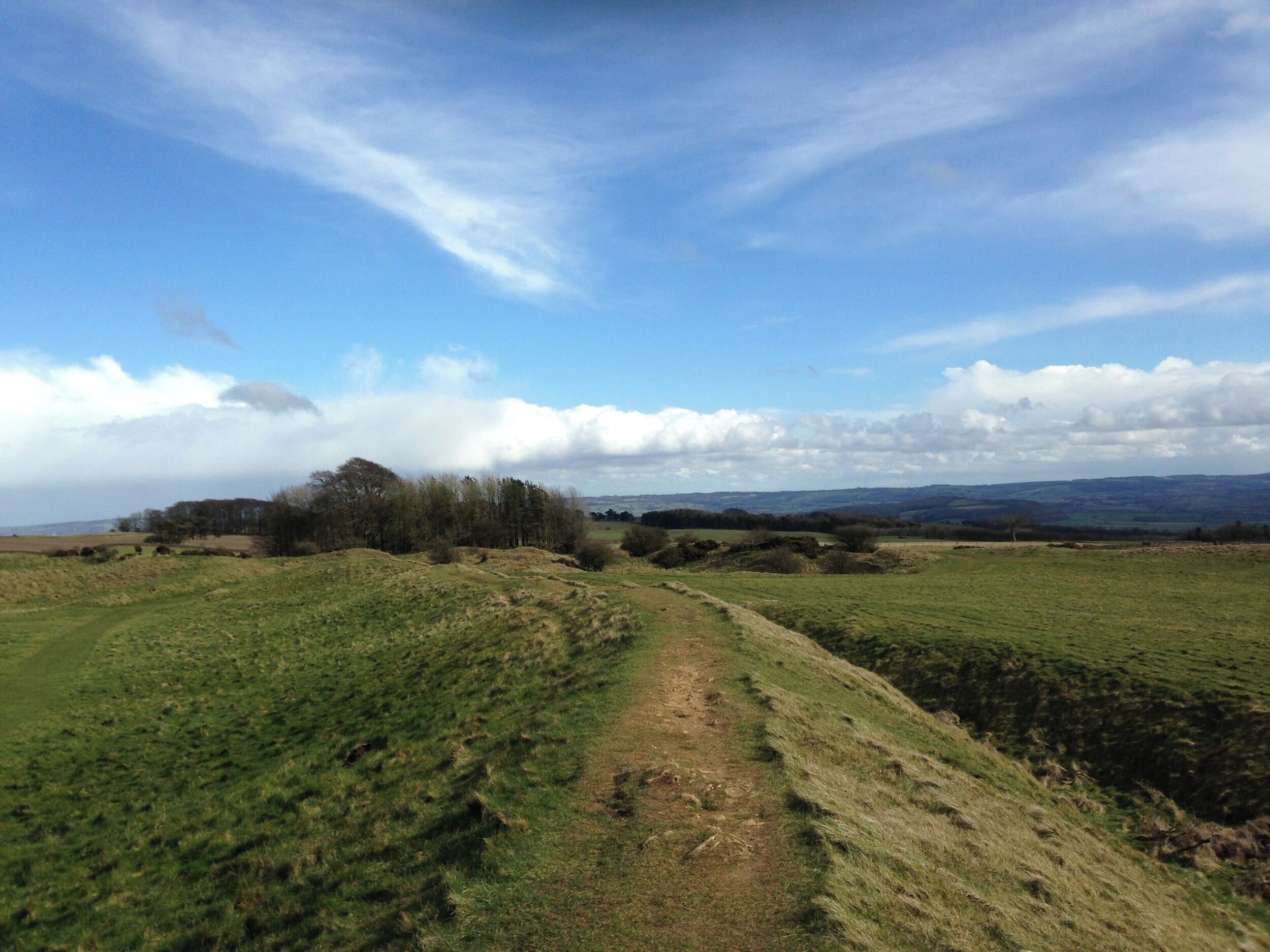 A rural landscape with a dirt path leading through green fields and a line of trees in the distance.