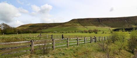A rural landscape with a wooden fence, grassy fields, and a hill in the background.