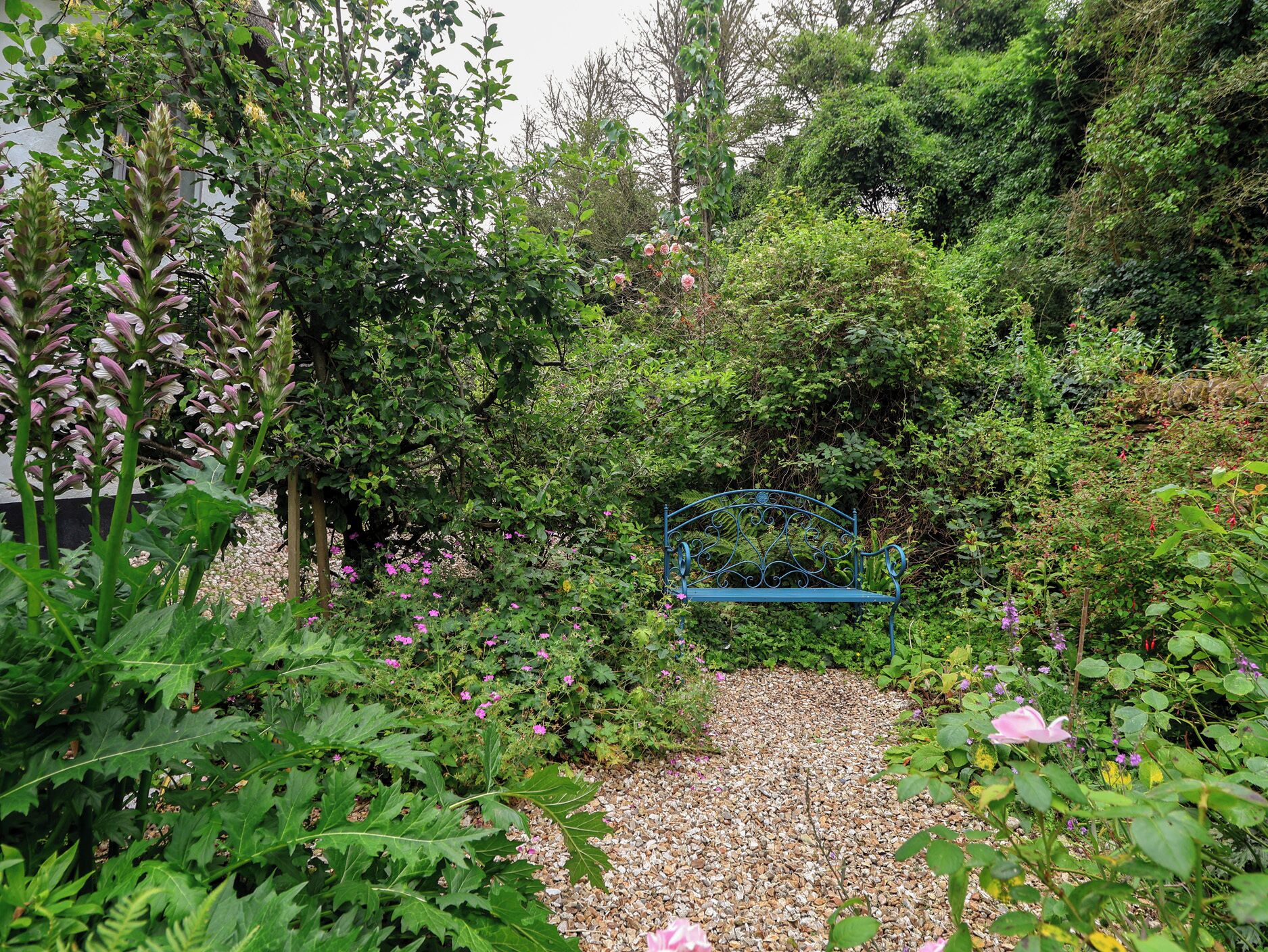 Ein Garten mit einer blauen Metallbank, umgeben von verschiedenen Pflanzen und Blumen.