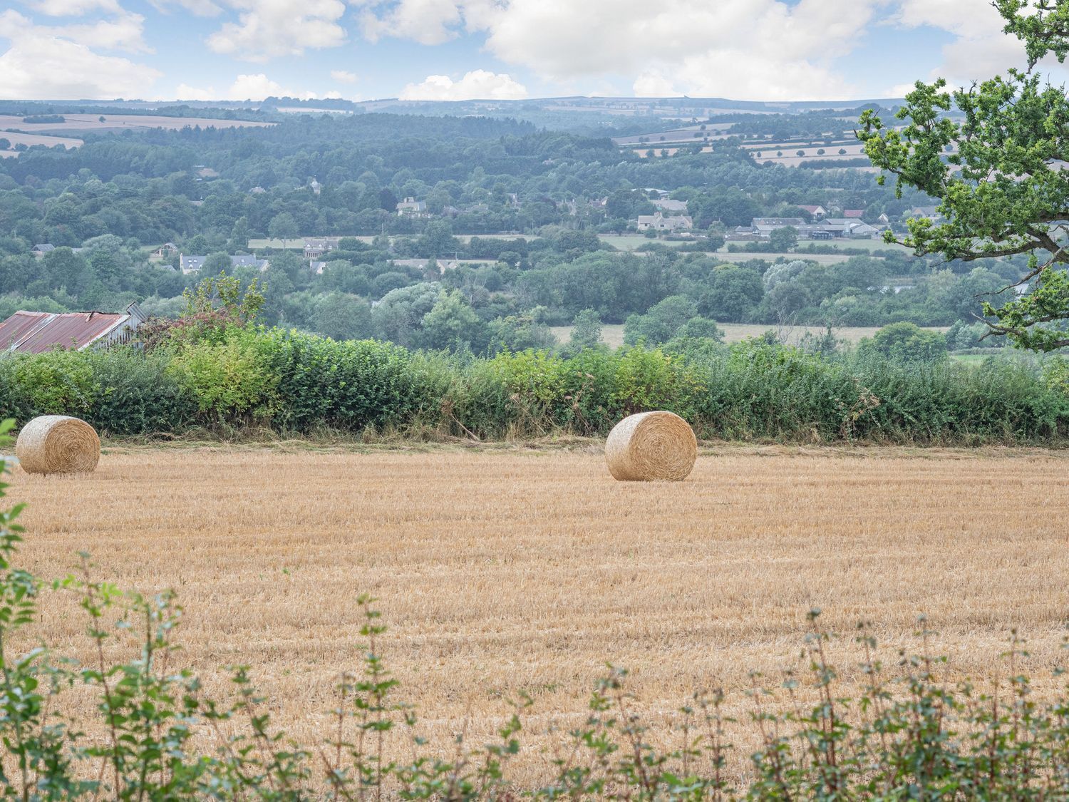 Ländliche Landschaft mit Heuballen auf einem Feld, umgeben von Bäumen und einer entfernten Ansicht von Häusern.