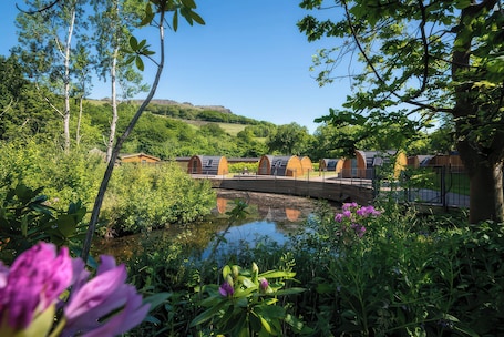 Property grounds. Lakeside Pods - pet Free