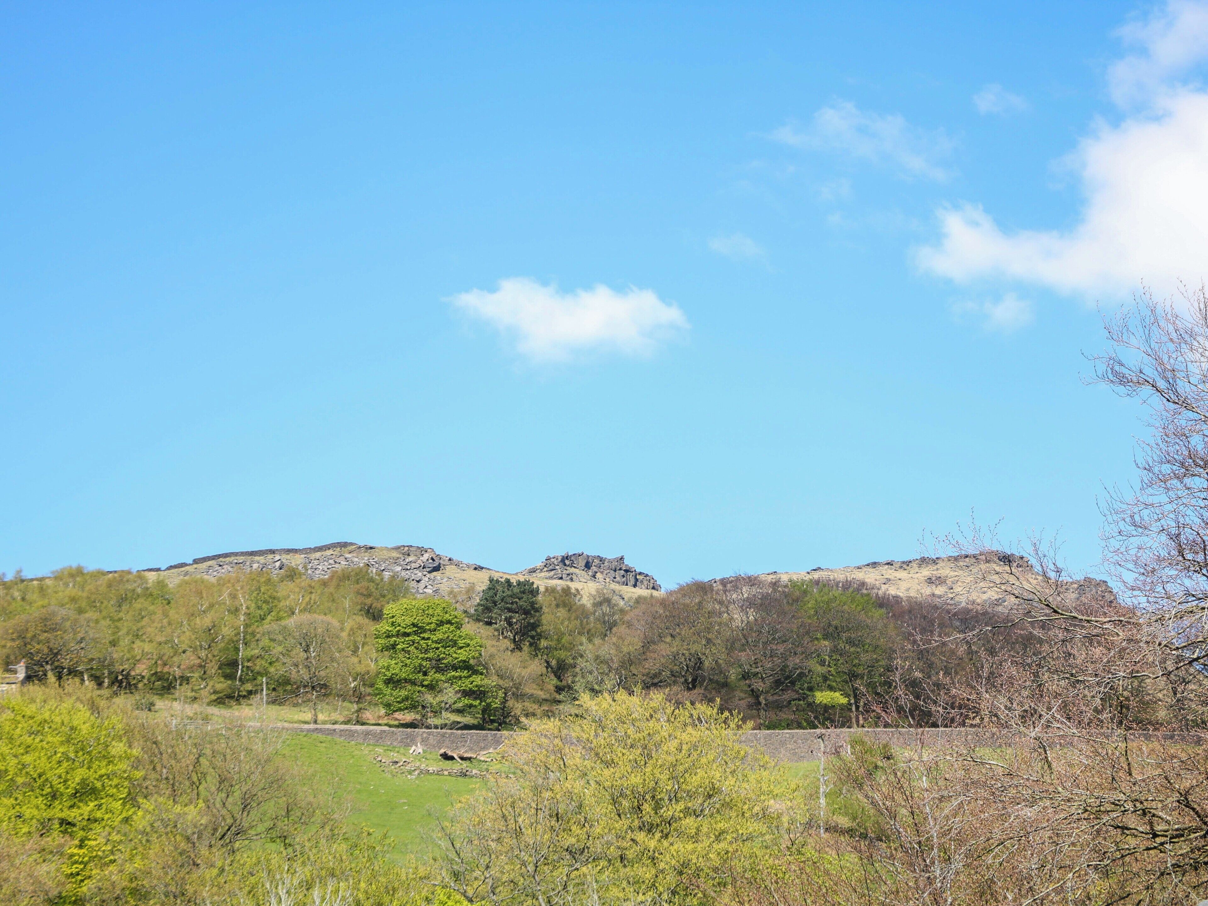 A landscape with rolling hills, a clear sky, and sparse vegetation.