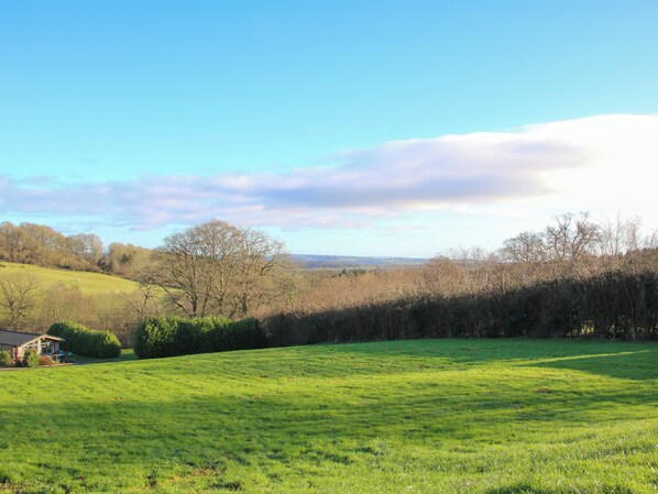 A grassy field with a house and trees in the background. - Hillview (Kidderminster)