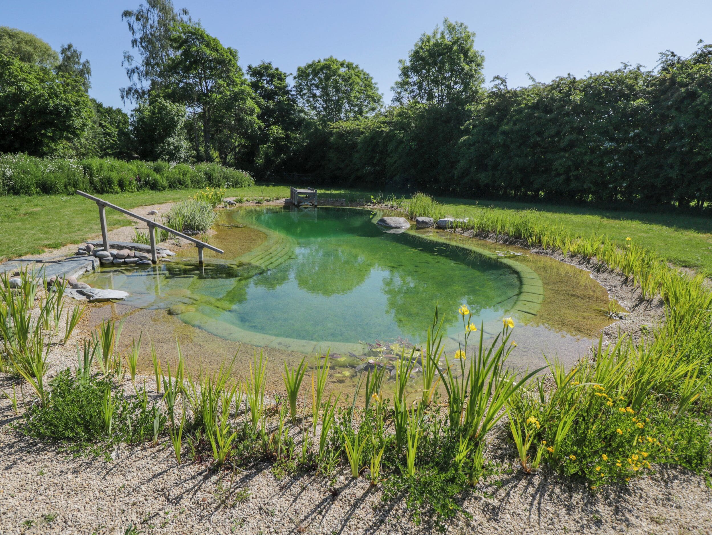 A natural pond with a wooden bridge, surrounded by greenery and trees.