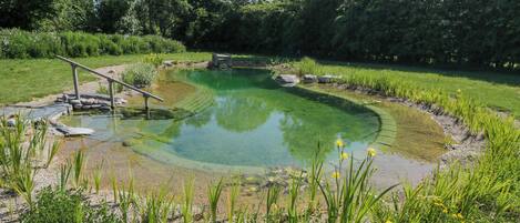 A natural pond with a wooden bridge, surrounded by greenery and trees.