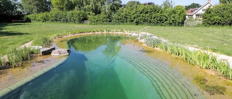 Cottage | Pool