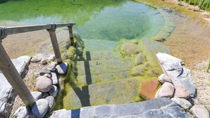 A clear pond with a wooden fence and rocks around it. - Hazel (Witney)