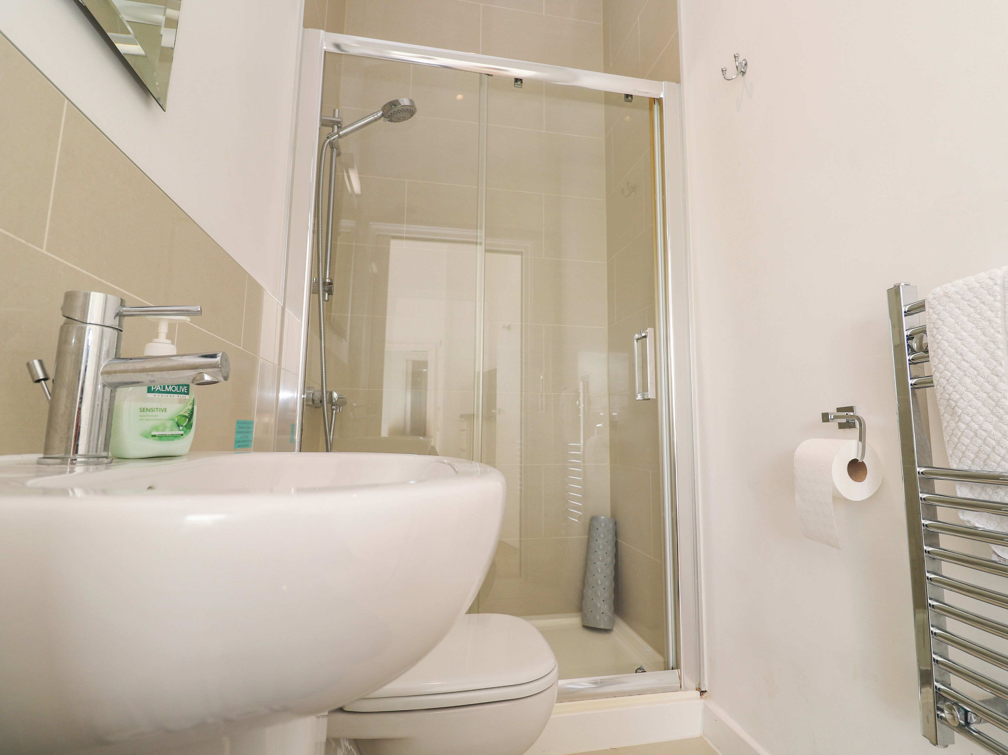 Un baño con ducha de vidrio, un lavamanos blanco con dispensador de jabón y un inodoro.