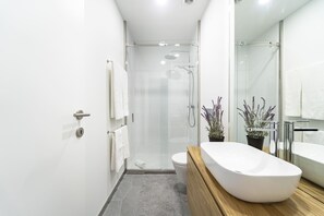 Dusche, Haartrockner, Handtücher