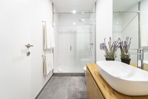 Shower, hair dryer, towels