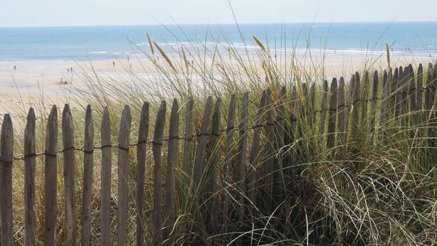A beach with a wooden fence and tall grass in the foreground. - Grain de Café Barneville Plage (Barneville-Carteret)