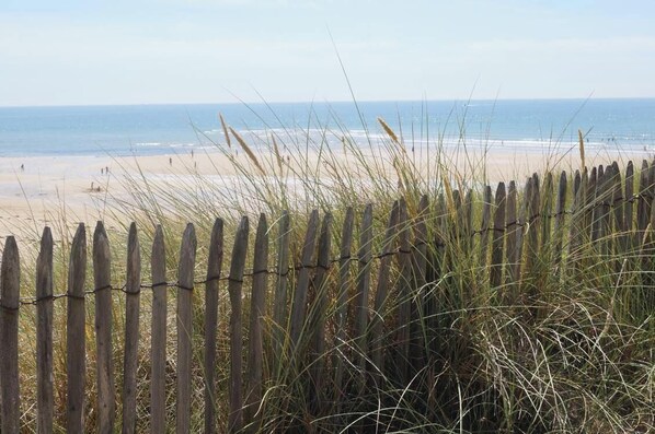 Beach - Grain de Café Barneville Plage (Barneville-Carteret)