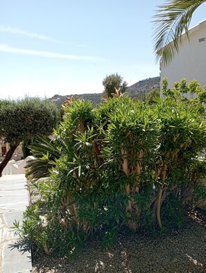 Property grounds - Villa 3 Bedrooms and 3 full bathrooms, private pool, garden and ocean views. (Alcocéber)