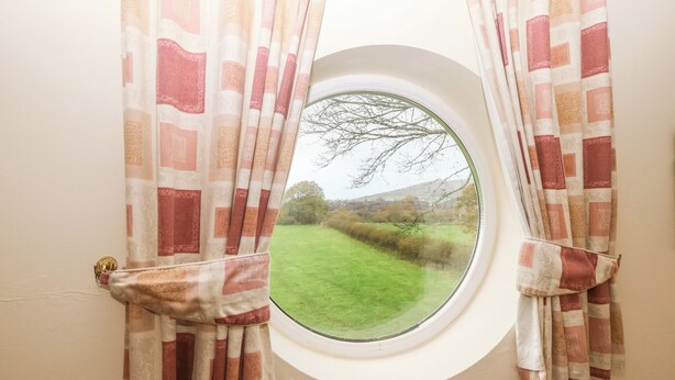 Una ventana con vistas a un paisaje verde y árboles desnudos.