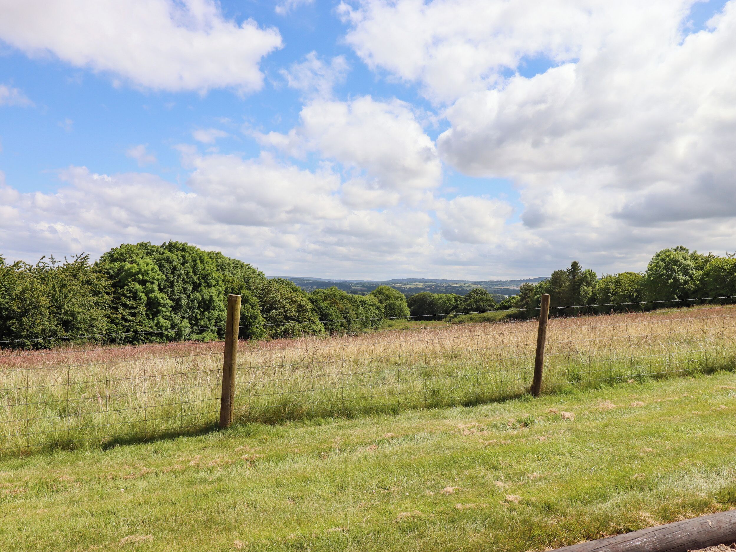 A grassy field with a wooden fence and a distant tree line.