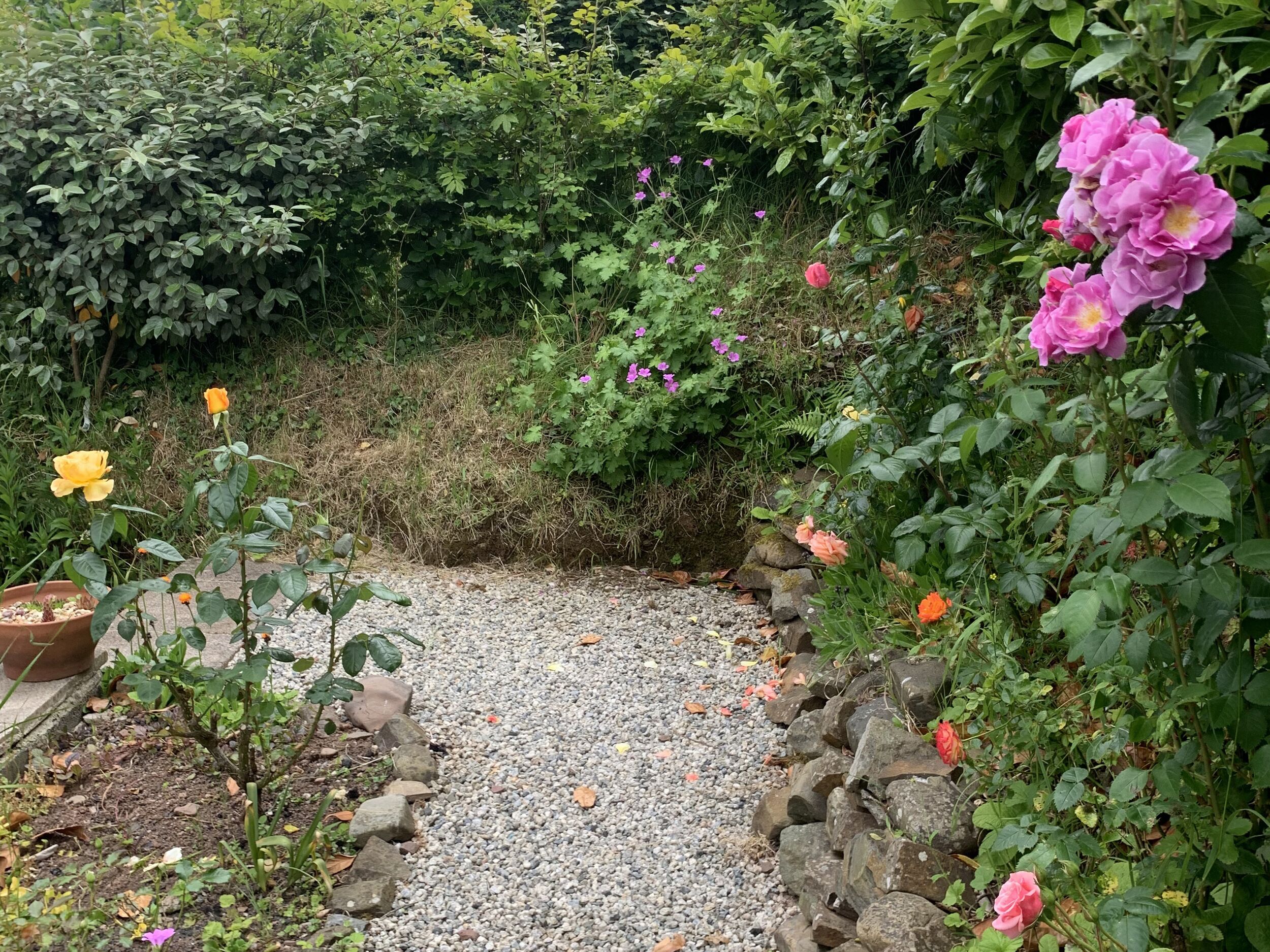A garden pathway bordered by rocks and various flowering plants.