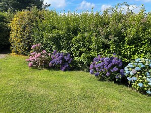 Cottage | Property grounds - Bryn Tawel (Crymych)
