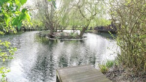Kawasan hartanah