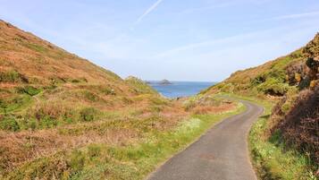 A narrow, winding road flanked by grassy hills and a clear blue sky.