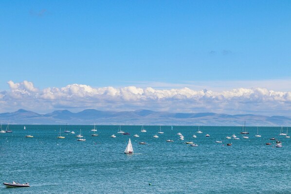 Un puerto deportivo con numerosos barcos y un velero en primer plano.