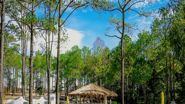 A swimming pool surrounded by trees, with lounge chairs and a thatched-roof structure. - Romdoul Kirirom Resort by EHM (Kampong Seila)