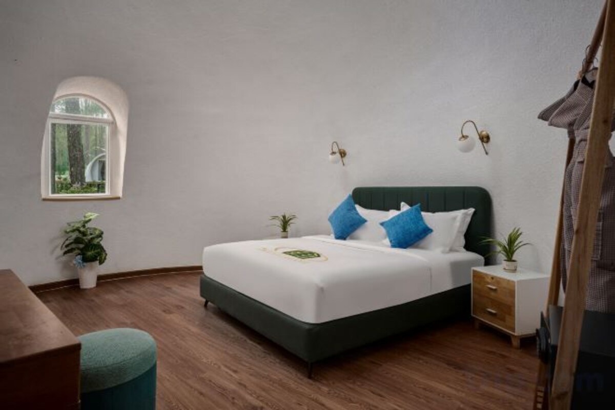 A bedroom with a bed, bedside tables, a window, and a plant.