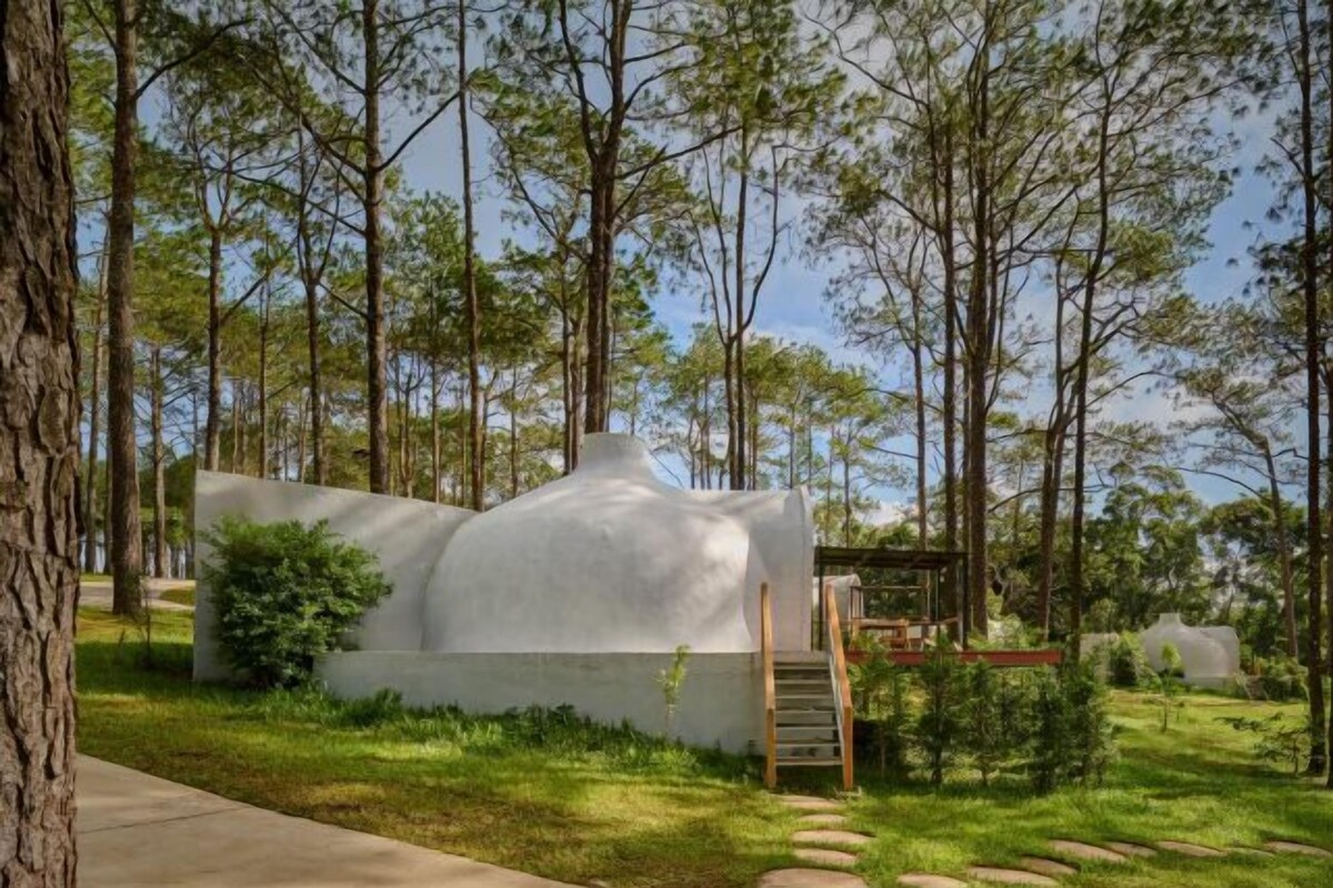 Una estructura moderna y blanca con forma de cúpula en un área boscosa, con una escalera de madera que conduce hacia ella.