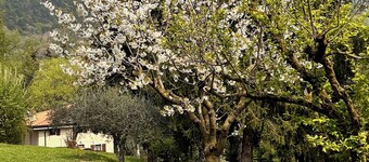 เรเล วิลลา อัลมา