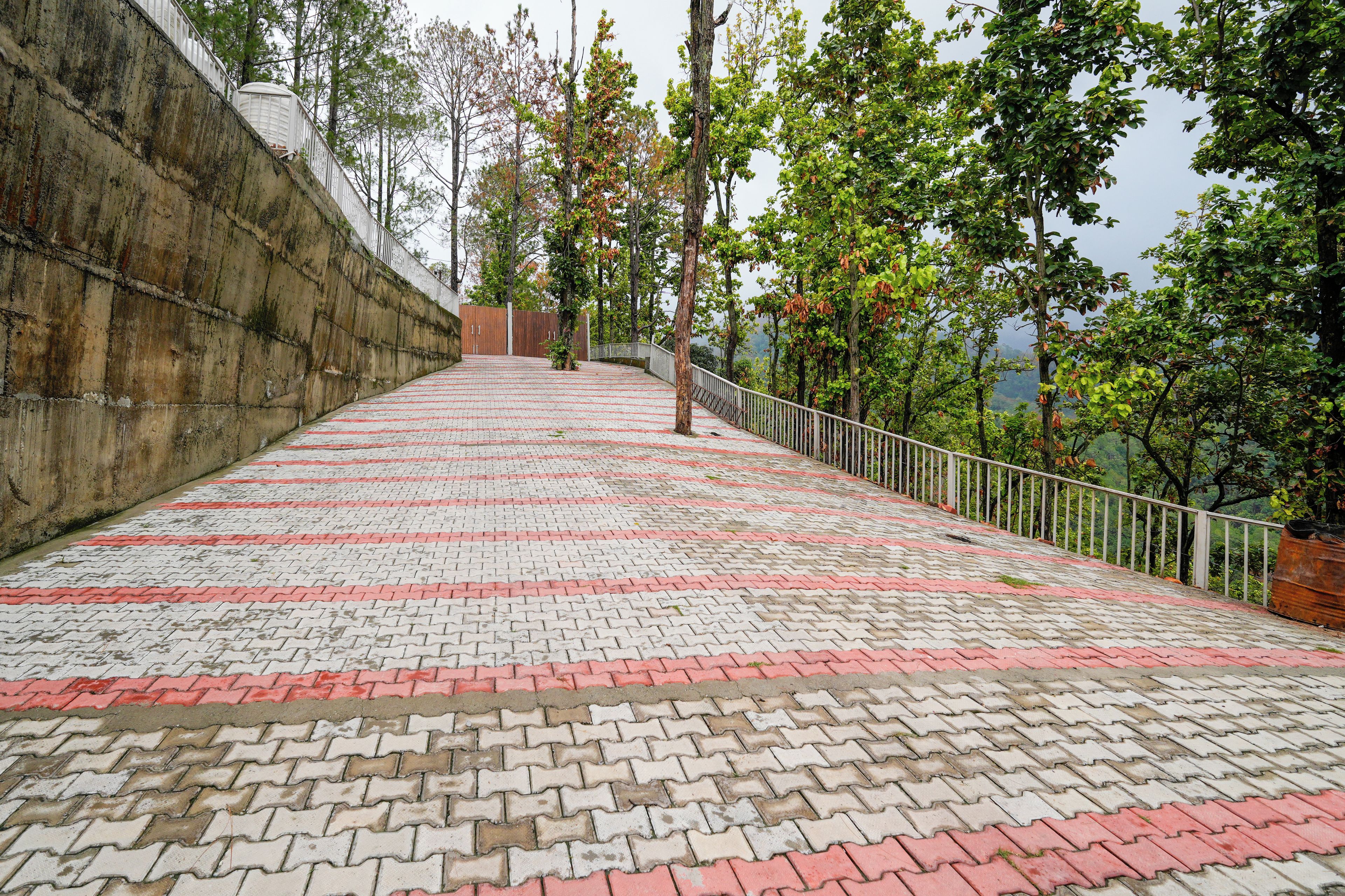 Un sendero pavimentado con barandilla de metal, rodeado de árboles y un muro de concreto.