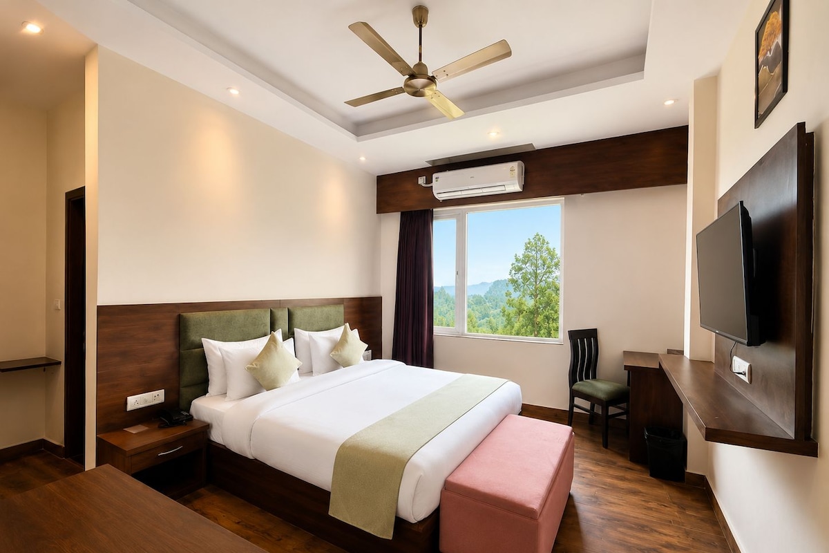 A hotel room with a large bed, a ceiling fan, an air conditioning unit, a TV, and a window with a view of the outdoors.