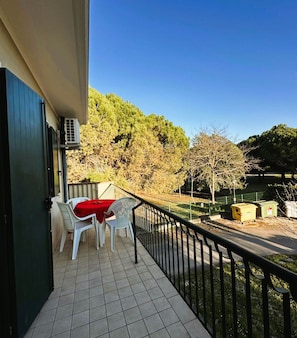 Appartamento, 1 camera da letto, patio, vista giardino | Balcone