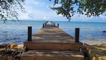Muelle